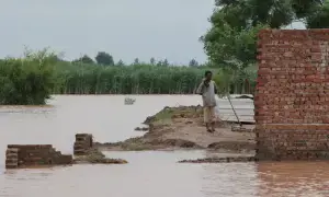 Flood devastation sweeps Punjab as 3,900 villages submerged; 49 dead