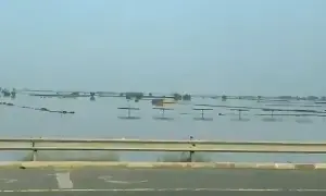 Flood havoc in South Punjab: dozens of villages submerged, 3.9 million displaced