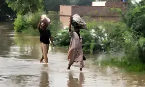 Federal govt plans electricity bill relief for flood victims