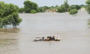 High-level flood at Guddu Barrage in next 48 hours feared