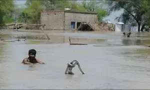 Southern Punjab reels under floods as 138 villages submerged