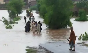 دریائے سندھ میں پانی کی سطح بلند؛ نوشہرو فیروز دربیلو میں زمیندارہ بند ٹوٹ گیا