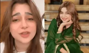 TikToker Samiya Hijab withdraws case, Islamabad court grants bail to accused