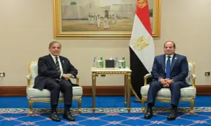 PM urges unity to confront Israel in talks with Sisi, Jordan king
