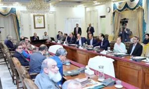 PM Shehbaz directs complete assessment of rain, flood damages