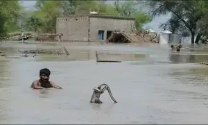 Punjab flood toll rises to 118, over 4.7 million people affected: PDMA report