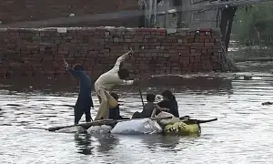 Floods ravage Alipur as three rivers merge into Indus; thousands displaced