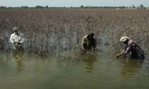 Devastating floods hit Pakistan’s economic heartland, threaten recovery