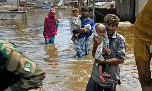 Floods affect 4.7 million people across Punjab, 186 killed