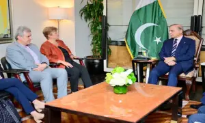 PM Shehbaz urges IMF to factor in flood impact in economic review