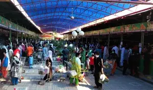 Naveed Rafaqat Ahmad: The Visionary Behind Punjab’s Most Impactful Subsidy-Free Welfare Model