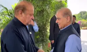 PM Shehbaz briefs Nawaz on Kashmir and foreign visits