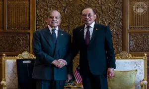 Shehbaz Sharif, Anwar Ibrahim agree to explore avenues for investment, joint ventures