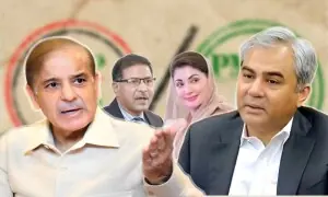 پیپلز پارٹی اور ن لیگ میں اختلافات: وزیراعظم نے اہم اجلاس طلب کرلیا، پی ٹی آئی بہتی گنگا میں ہاتھ دھونے کو تیار