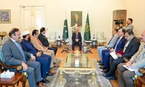 PM Shehbaz vows to address Kashmiri concerns after peaceful resolution in AJK