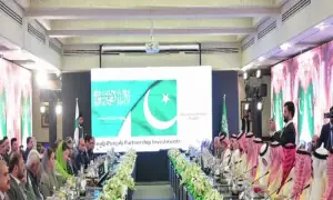 Punjab launches Saudi Industrial City offering 10-year tax holiday