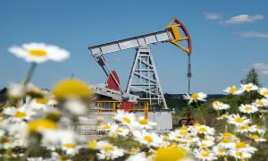 دنیا بھر میں تیل کی قیمتیں ایک بار پھر گِر گئیں، معاملہ کیا ہے؟