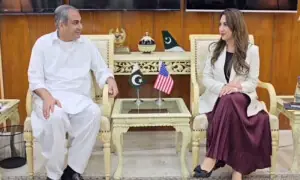 Pakistan, US vow to deepen ties in security, investment sectors