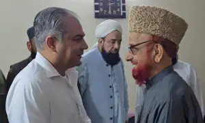 Naqvi assures ulema of non-interference in mosques, seminaries