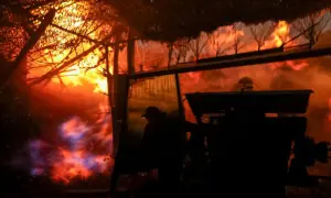 Putin-Trump summit on hold after Russia rejects ceasefire