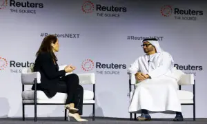 UAE calls for security for Israel, viable state for Palestinians to end conflict