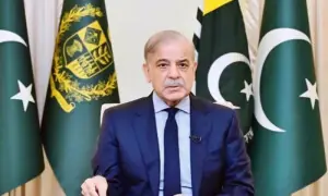 PM unveils 3-year ‘Roshan Economy’ package to provide subsidised electricity PM unveils 3-year ‘Roshan Economy’ package to provide subsidised electricity