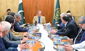 Federal cabinet approves ban on Tehreek-e-Labbaik Pakistan