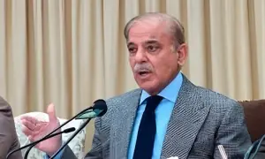 وزیراعظم نے آر ایل این جی گھریلو کنکشنز کے اجرا کا افتتاح کردیا وزیراعظم نے آر ایل این جی گھریلو کنکشنز کے اجرا کا افتتاح کردیا