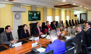 Pakistan, US agree to continue engagement in minerals sector Pakistan, US agree to continue engagement in minerals sector