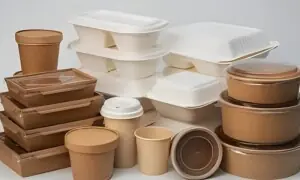 خواتین! پلاسٹک کے ڈبے صرف ایک دفعہ استعمال کے لیے ہوتے ہیں: ماہرین