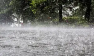 Rain, wind and thunderstorm with snowfall expected in upper parts on November 04