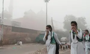 مائگرین اور اسٹروک: نئی دہلی کی زہریلی ہوا دماغ کو شدید نقصان پہنچانے لگی