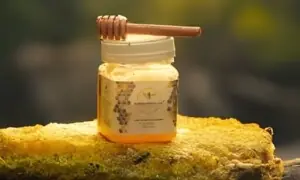 دنیا میں صرف دو جگہوں پر دستیاب ’جنونی شہد‘، جو پوری فوج کو بیہوش کردے دنیا میں صرف دو جگہوں پر دستیاب ’جنونی شہد‘، جو پوری فوج کو بیہوش کردے