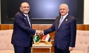 President Zardari meets UN, Iraqi and Tajik leaders on Doha summit sidelines