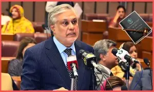 27 ویں آئینی ترمیم لا رہے ہیں، جو فائنل ڈرافٹ ہوگا سامنے آجائے گا: اسحاق ڈار