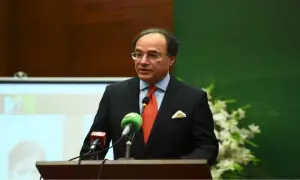 حکومت 24 سرکاری ادارے فروخت کرنے جارہی ہے، وفاقی وزیرخزانہ