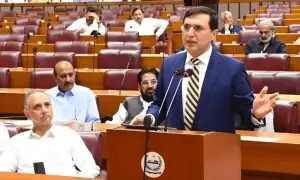 پی ٹی آئی کا 27 ویں آئینی ترمیم کی حمایت پر ’نو‘: ترمیم کو وفاق کا صوبوں پر حملہ قرار دے دیا