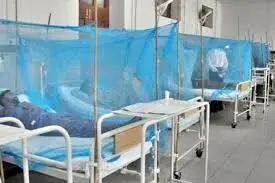 Dengue cases surge across KP as 80 new infections reported in 24 hours