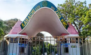 SHC questions existence of Karachi Zoo, forms committee to assess conditions SHC questions existence of Karachi Zoo, forms committee to assess conditions