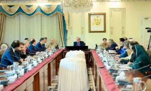 Pakistan, Turkiye agree to boost cooperation in security, economic development Pakistan, Turkiye agree to boost cooperation in security, economic development