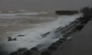 طوفان کالماگی نے فلپائن اور ویتنام میں تباہی مچادی، 188 افراد ہلاک طوفان کالماگی نے فلپائن اور ویتنام میں تباہی مچادی، 188 افراد ہلاک