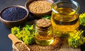 سردیوں میں بچوں کو سرسوں کا گرم تیل لگائیں، نزلہ زکام دور بھگائیں سردیوں میں بچوں کو سرسوں کا گرم تیل لگائیں، نزلہ زکام دور بھگائیں