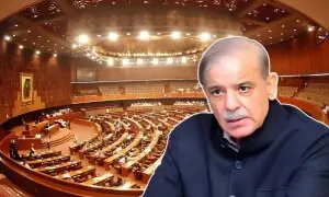 صدر کے بعد وزیرِاعظم کو بھی فوجداری مقدمات سے استثنیٰ دینے کی ترمیم مشترکہ کمیٹی میں پیش