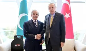 ترک صدر کا پاکستان اور افغانستان میں جنگ بندی برقرار رکھنے پر زور، دہشت گرد حملوں پر گہری تشویش