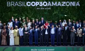 موسمیاتی سمٹ ’کوپ 30‘ کیا ہے اور اہم کیوں ہے؟