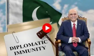 صدر کو تاحیات استثنا آئین کے مطابق ہے؟