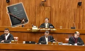 سینیٹ سے 27 ویں آئینی ترمیم کی منظوری کے بعد اب آگے کیا ہوگا؟