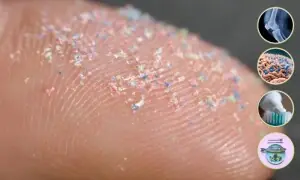 پلاسٹک کے ذرات ہڈیاں کمزور کرکے توڑنے لگے: نئی تحقیق