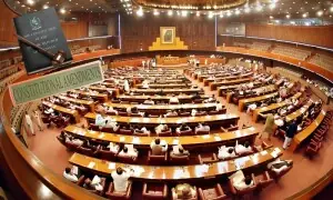 سینیٹ سے منظور 27 ویں‌ آئینی ترمیم کی کون سی شقیں‌ قومی اسمبلی میں‌ حذف کی گئیں؟