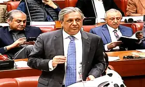 Senate adopts revised 27th amendment bill amid opposition protest